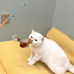 AGGER jouet chat moulinet-peche, mouvement fluide et précis