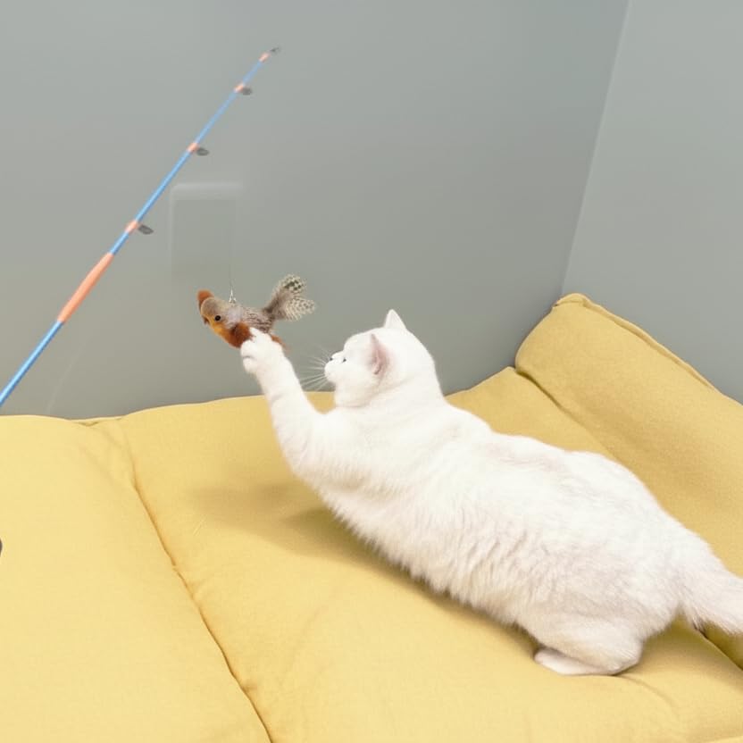 AGGER jouet chat rangement-pratique, dispositif facile à ranger