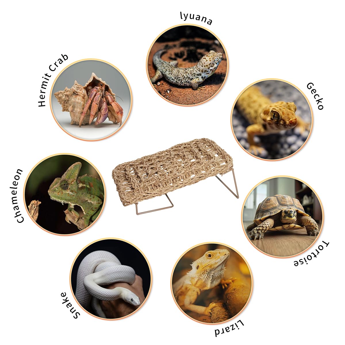 AGGQQA hamac-compatible divers reptiles convient au dragon-barbu, lezard et gecko.