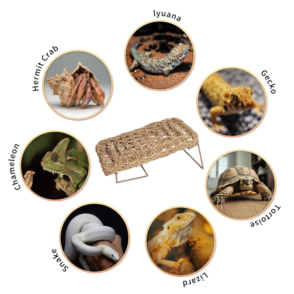 AGGQQA hamac-compatible divers reptiles convient au dragon-barbu, lezard et gecko.
