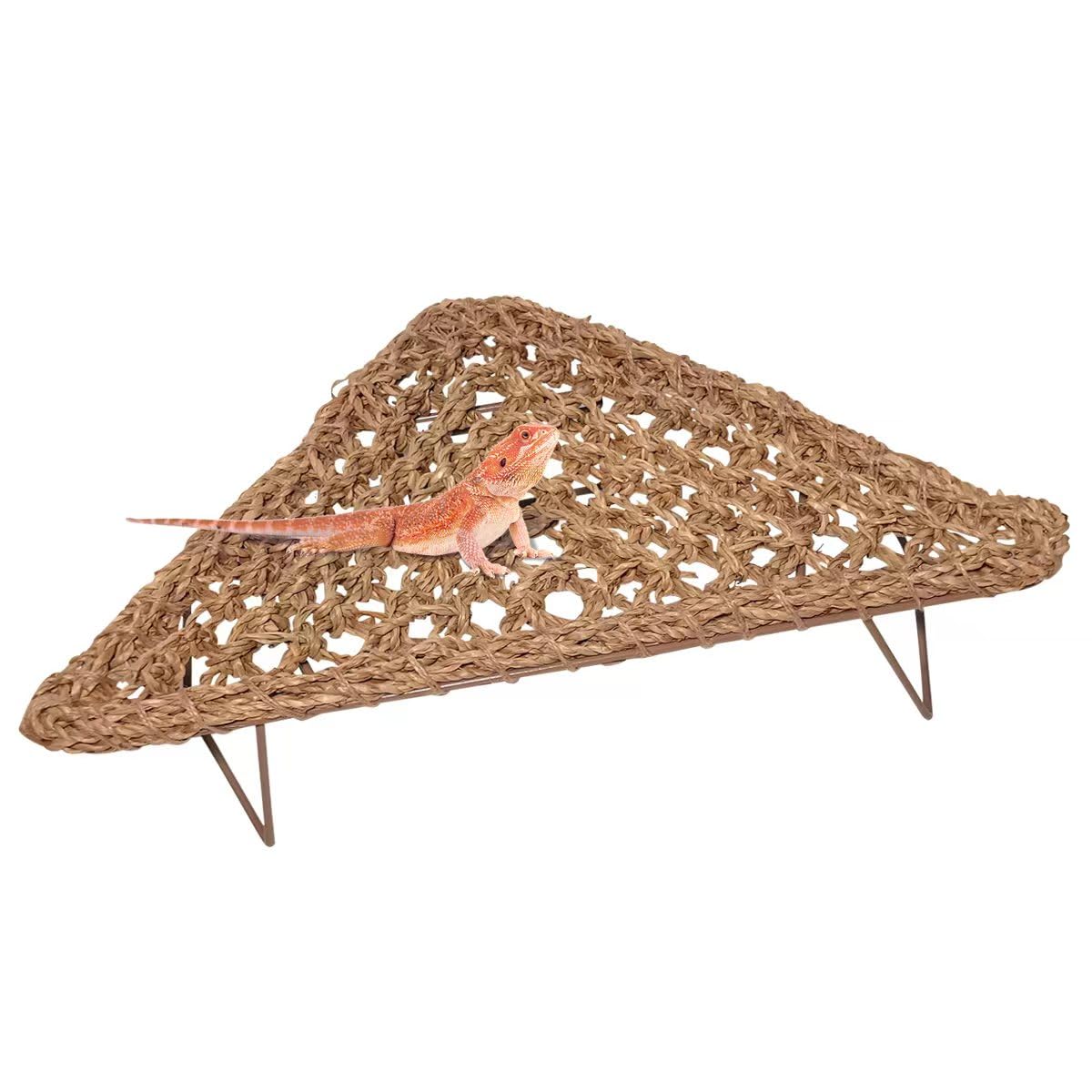 AGGQQA hamac dragon-barbu avec pieds-metalliques assure une stabilité durable.