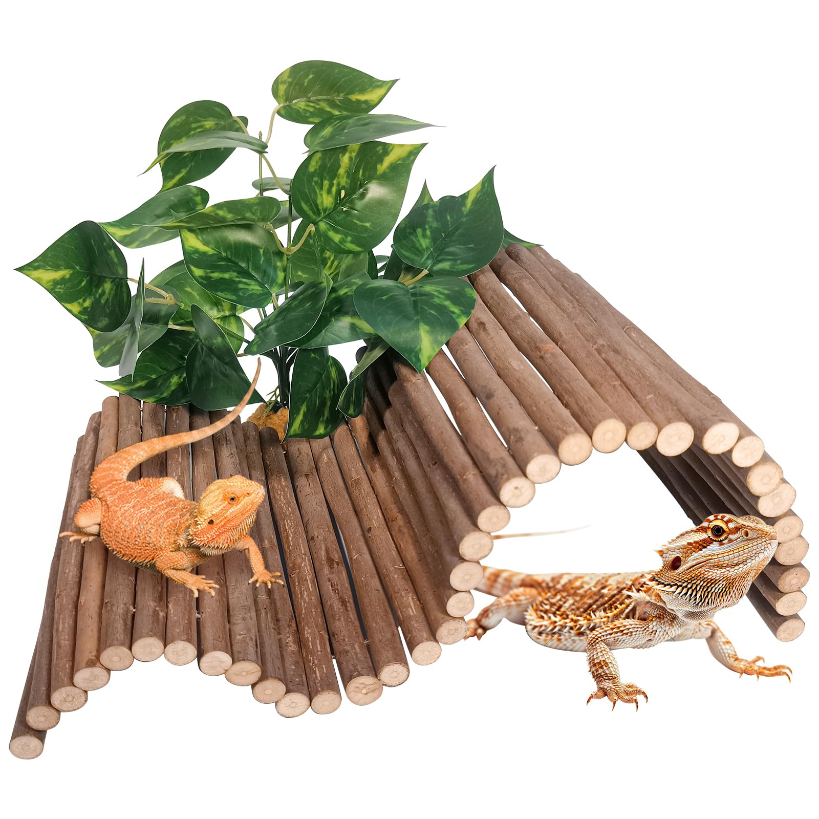 AGGQQA pont-cache-reptile bois: refuge naturel pour dragon barbu et tortues.