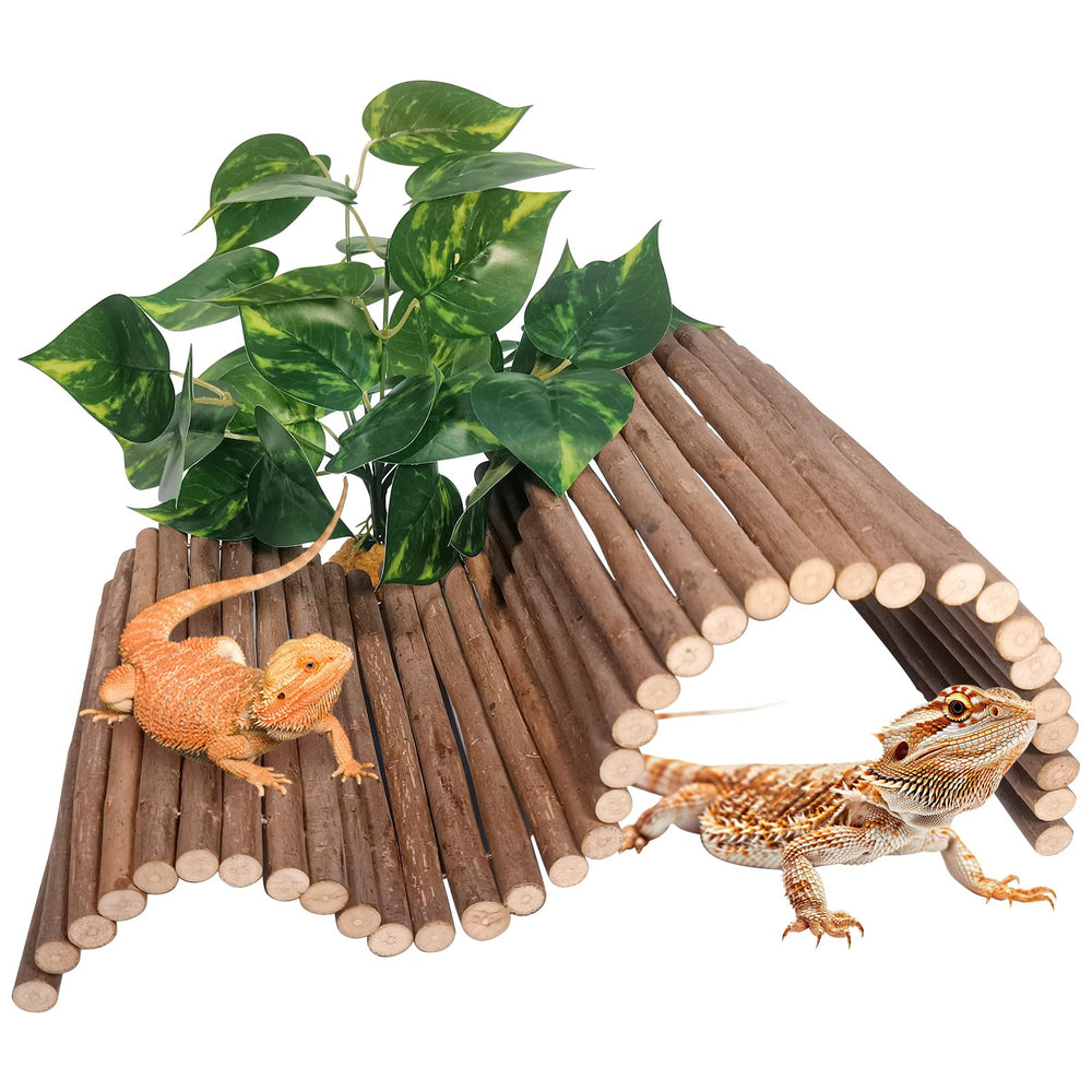 AGGQQA pont-cache-reptile bois: refuge naturel pour dragon barbu et tortues.