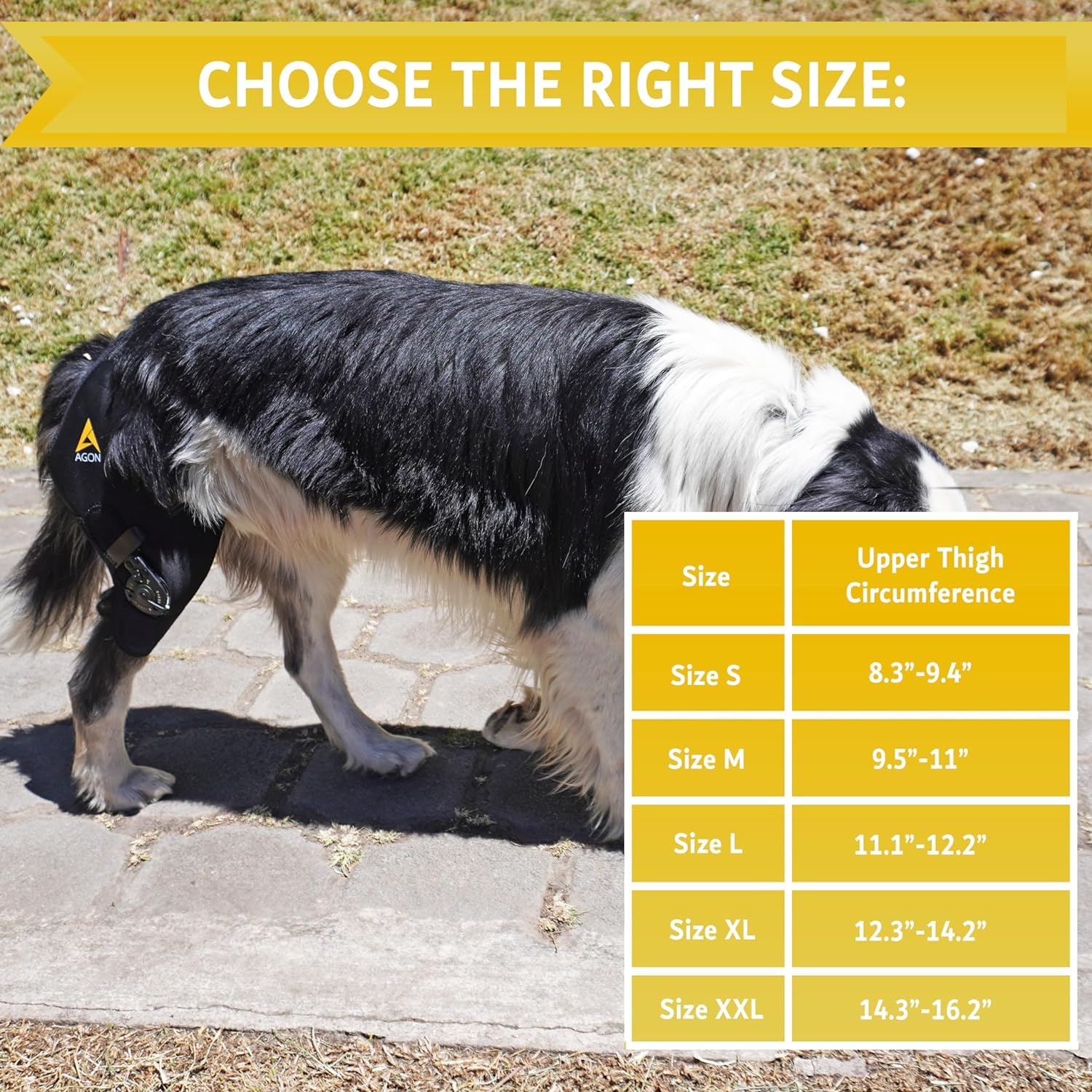 Charnière ajustable AGON sur genou de chien, stabilisation personnalisée.