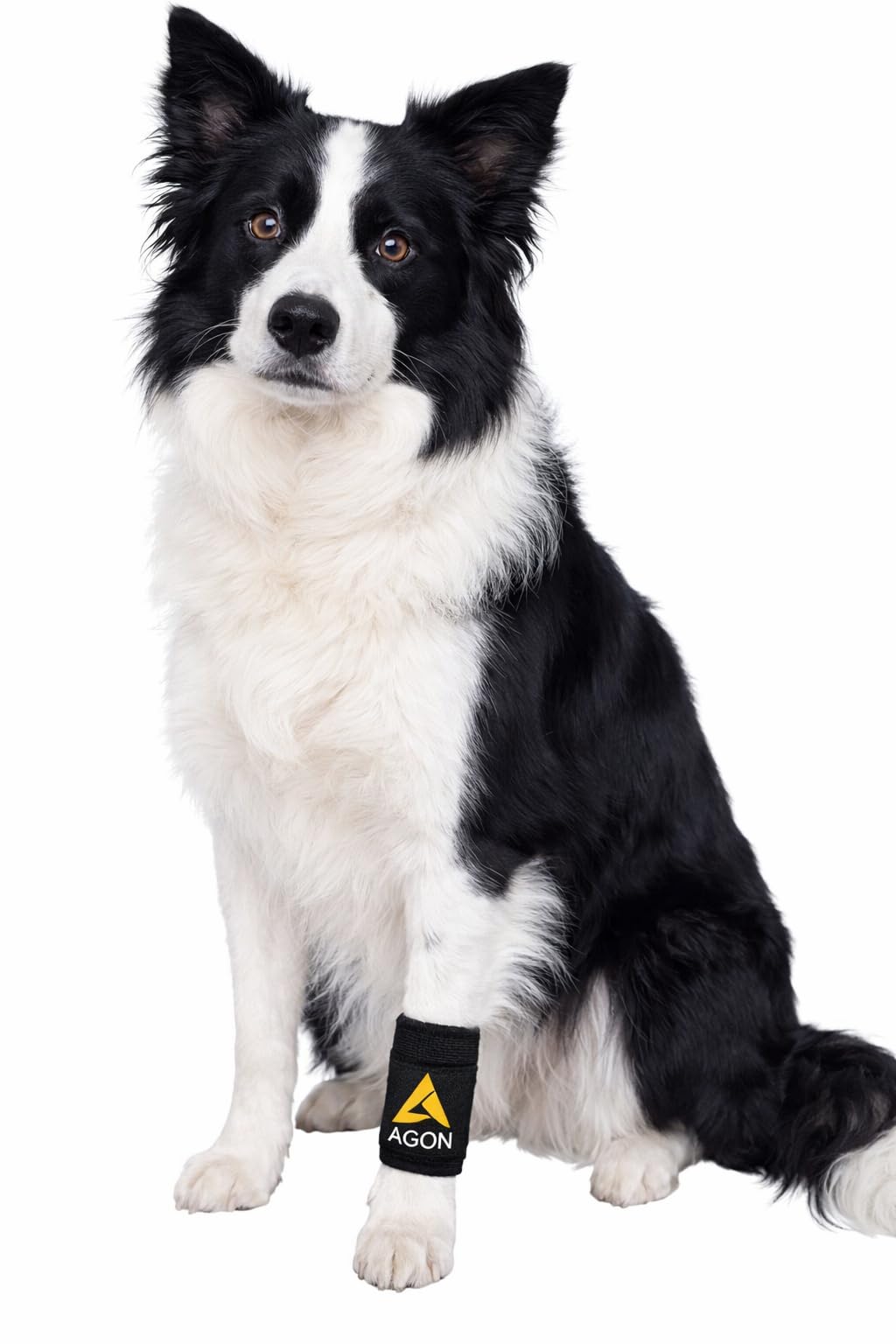 AGON Attelle patte avant – utilisation quotidienne pour chiens actifs.