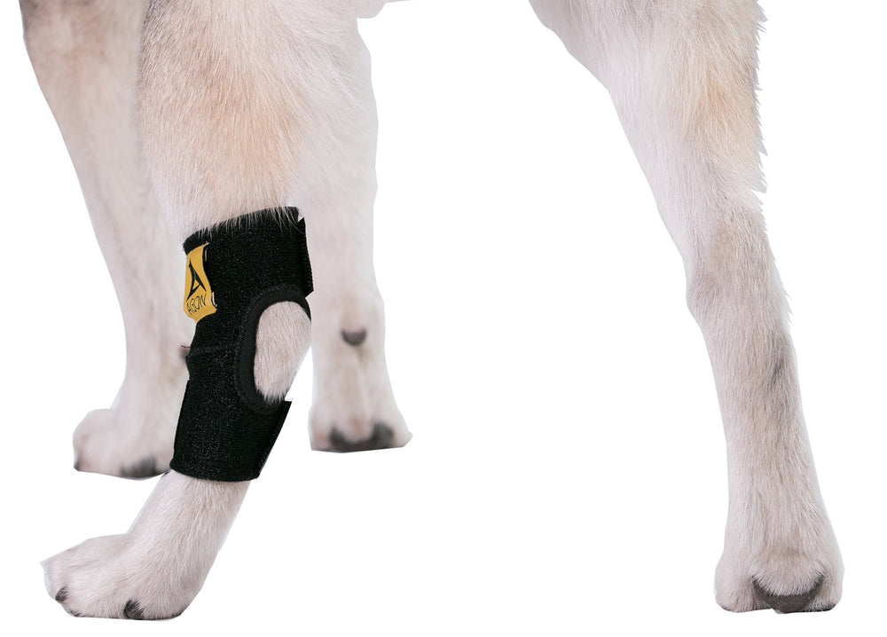 Fermeture Velcro AGON: ajustement rapide et sûr.