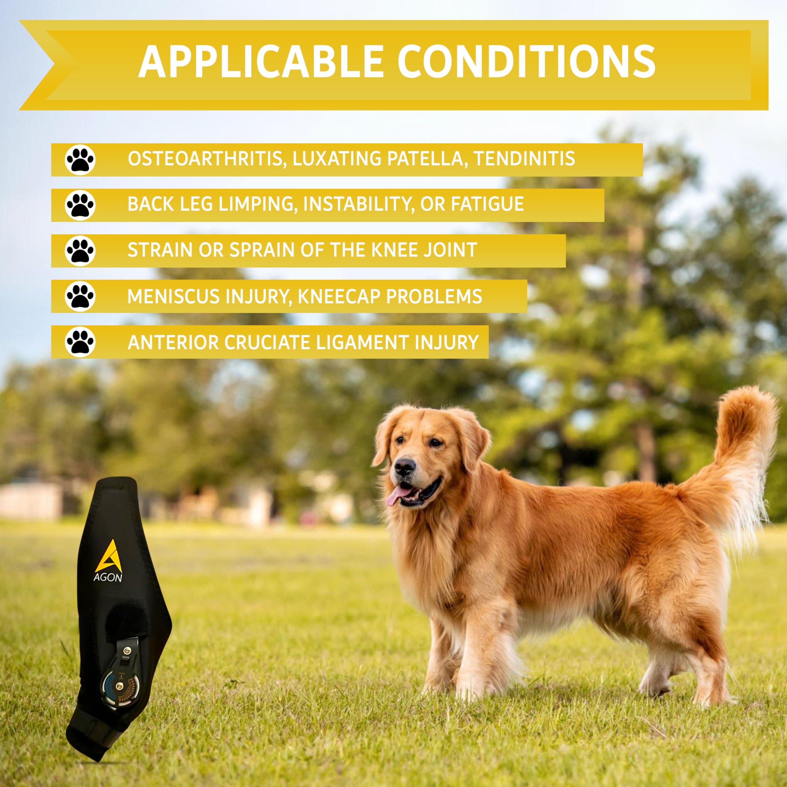 AGON genou-chien-charniere-ajustable: stabilisateur modulable pour flexion et extension adaptées.