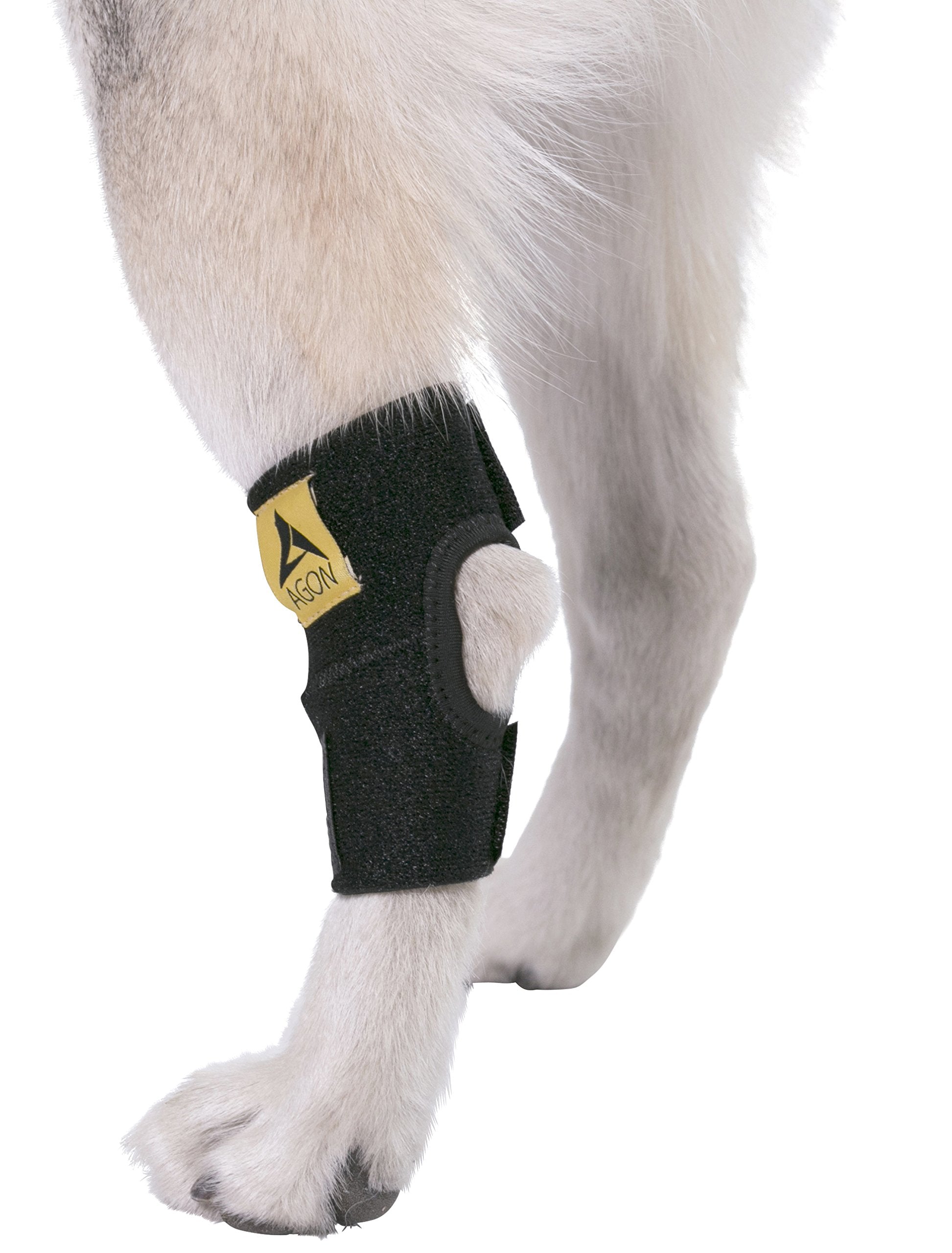 Matière nylon robuste et maille douce utilisées par AGON pour chien.