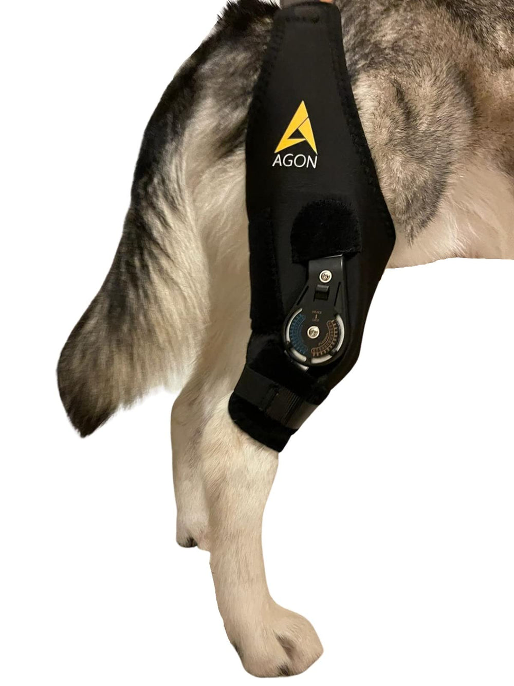 AGON orthèse genou chien droit néoprène premium pour soutien durable et confort.
