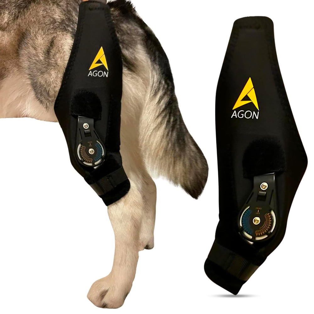 AGON orthèse genou chien droit soutien ciblé pendant récupération.