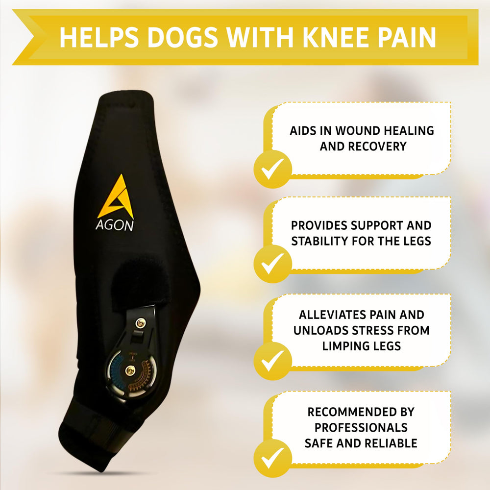 AGON orthèse genou chien image montrant confort et mobilité