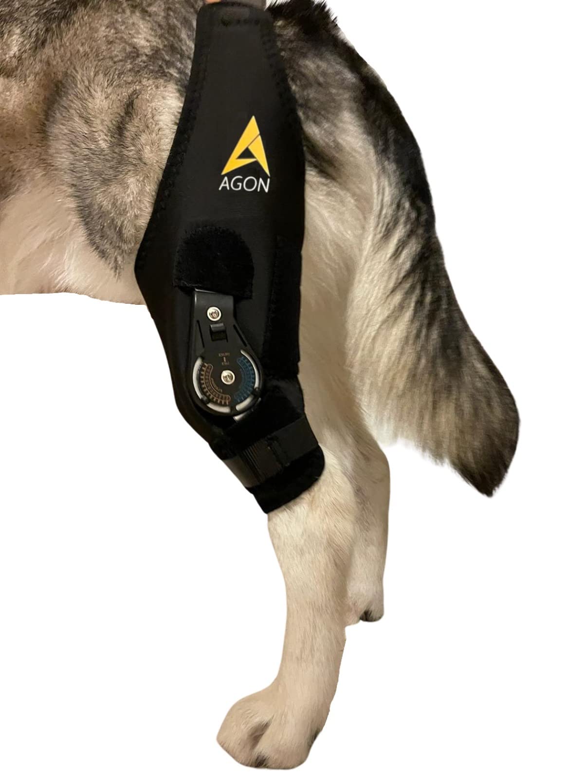 AGON orthèse genou chien détails du matériau néoprène respirant
