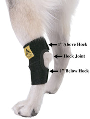 Soutien de l’articulation de la cheville du chien par l’attelle AGON.