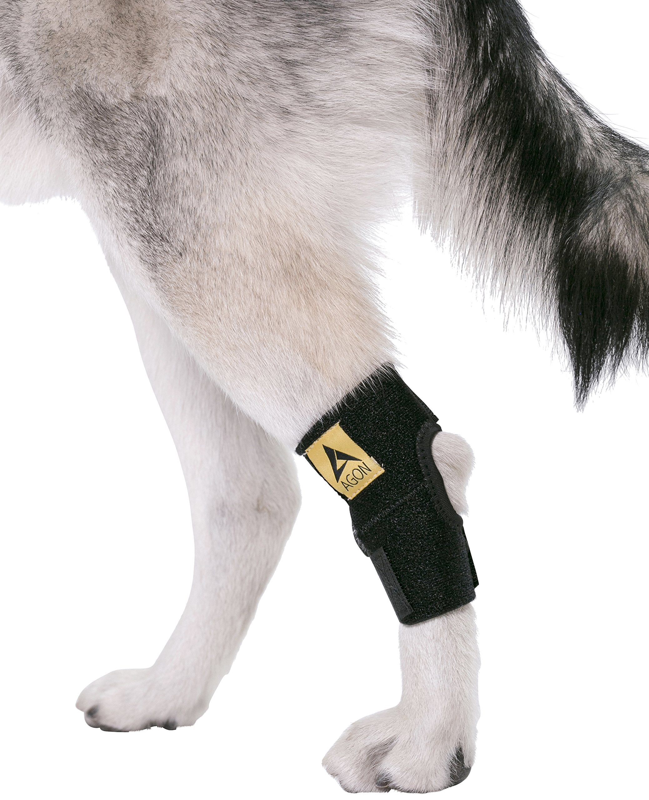 Utilisation facile à domicile ou en promenade avec l’attelle AGON pour chien.