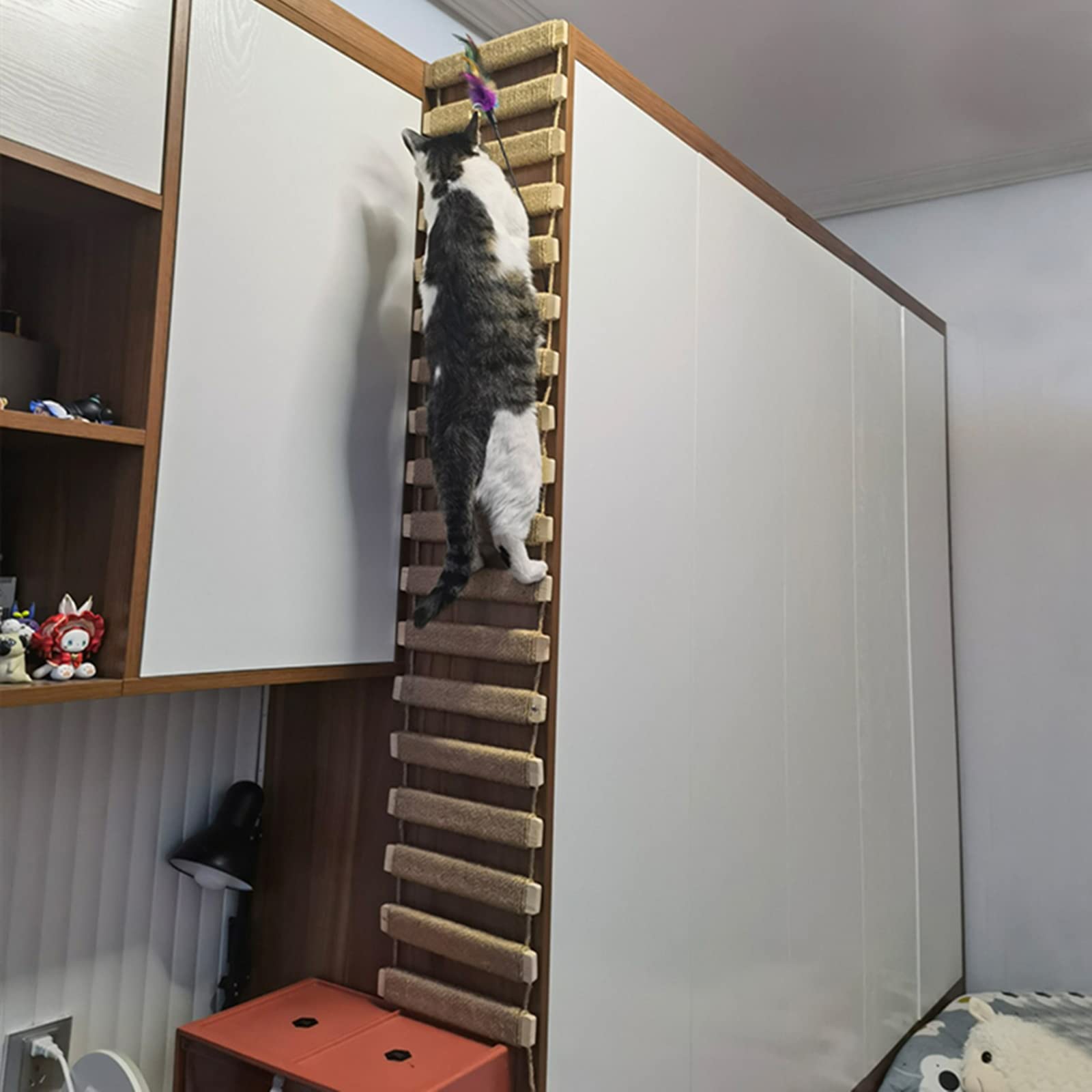 AGRICUE escalier-chat-pour-cage, facilite l'accès et l'observation.
