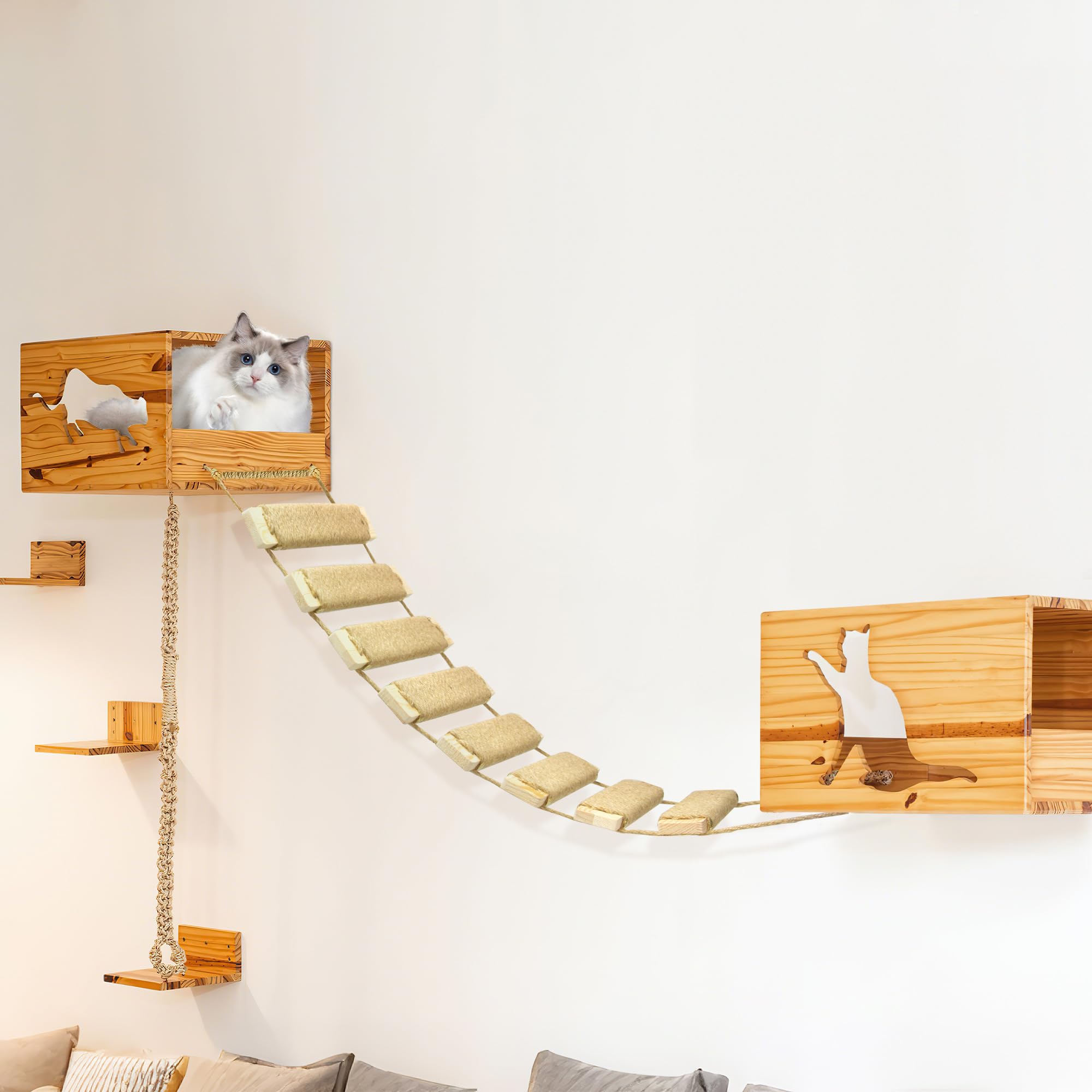 Installation murale chat AGRICUE adaptée à intérieur et extérieur.