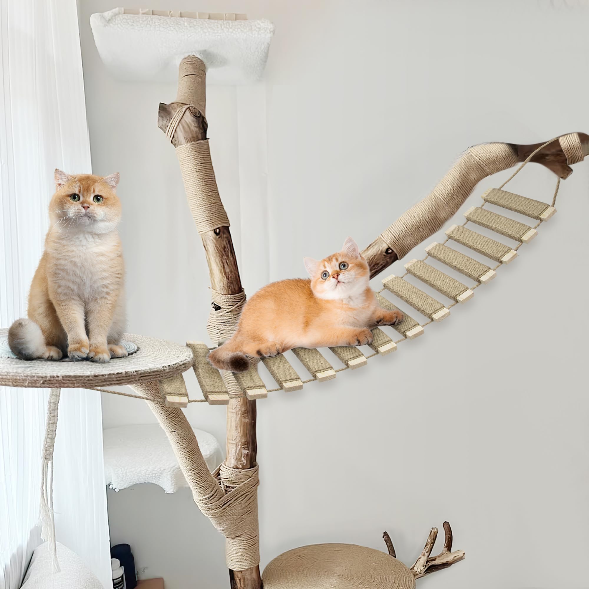 AGRICUE pont chat mural sisal – passerelle sécurisée pour grattage et détente