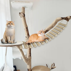 AGRICUE pont chat mural sisal – passerelle sécurisée pour grattage et détente
