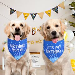 Bandana Agroon anniversaire chien bleu vue dos montrant le revers
