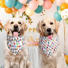 Bandana Agroon anniversaire chien taille XL, ajustement confortable et sûr.