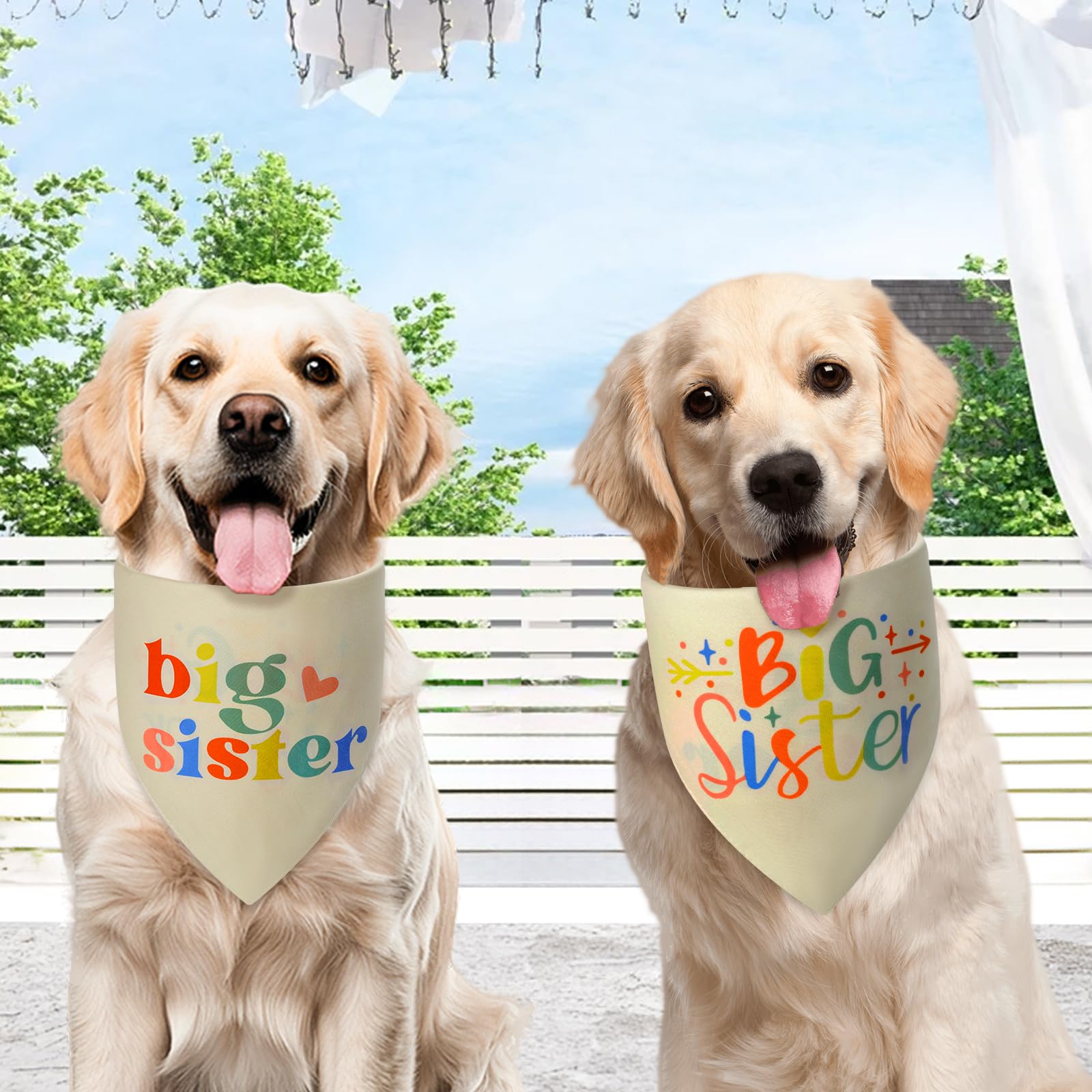 Agroon bandana taille multiple — S’adapte confortablement à divers tours de cou pour chiens