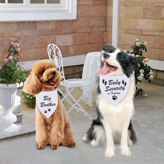 Idée cadeau personnalisable Agroon bandana chien pour anniversaire.