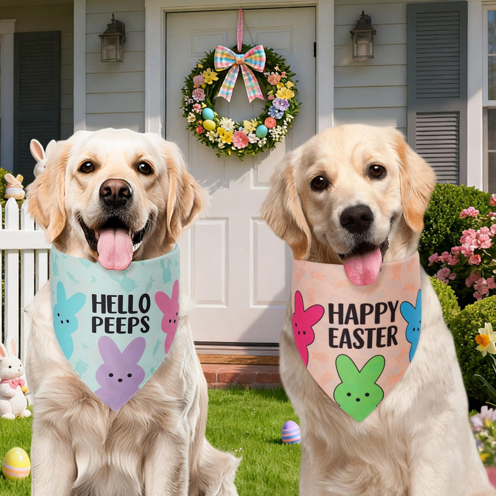 Bandana Agroon Paques tailles multiples adaptées aux animaux.