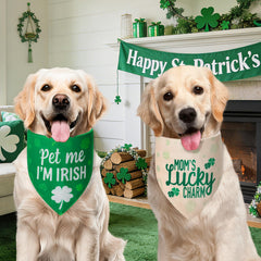 Bandana Agroon Saint-Patrick taille 18x25 pour colliers moyens et confortables.