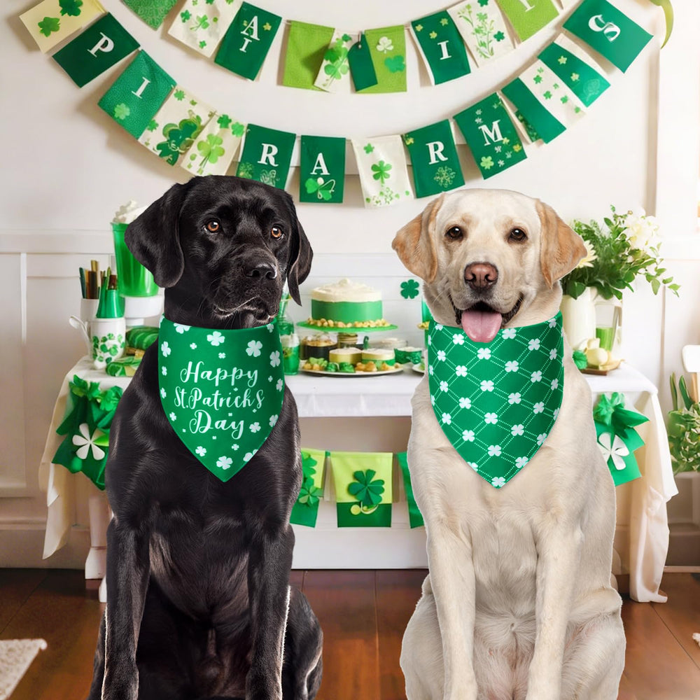 Bandana Agroon Saint-Patrick cadeau idéal pour sorties et séances photos.