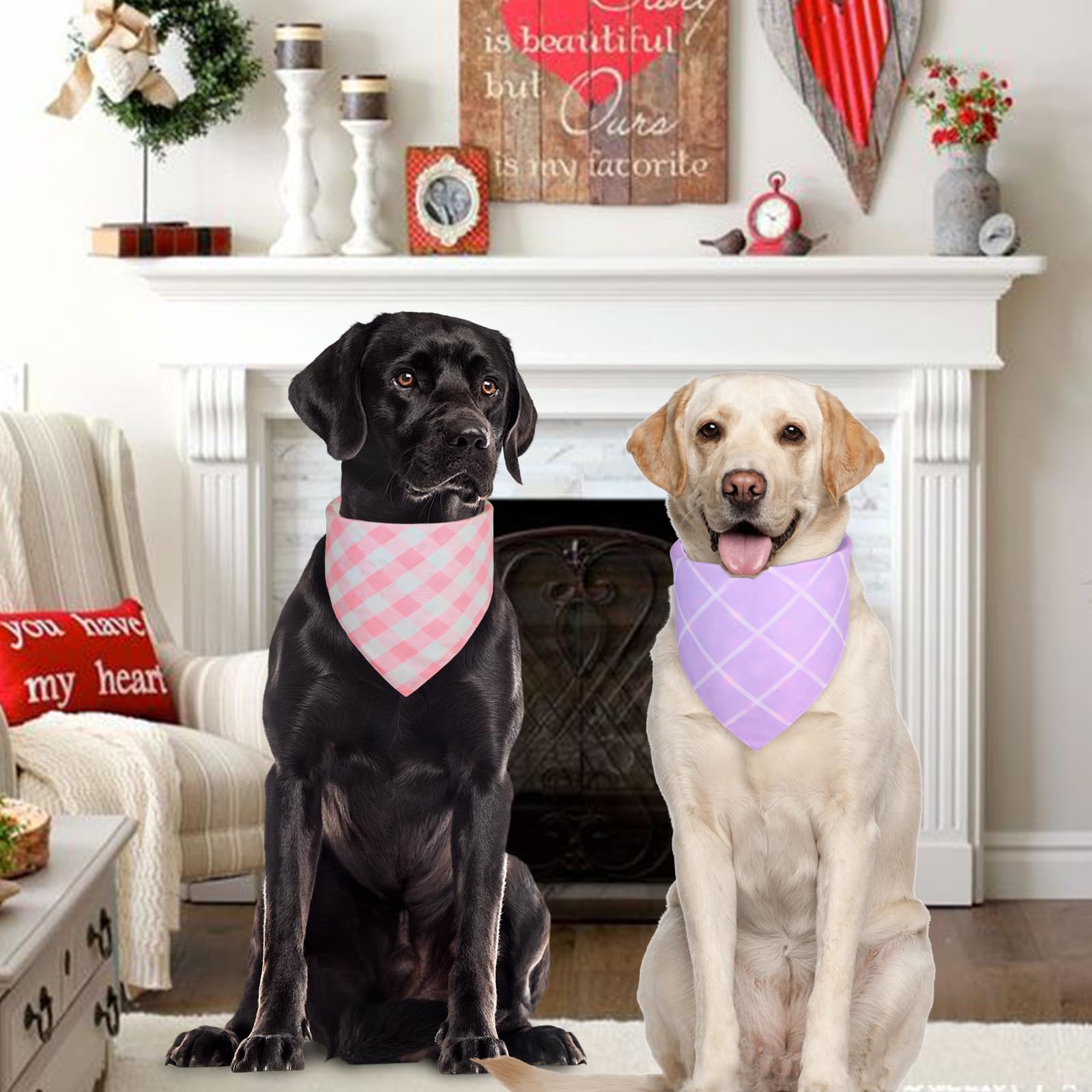 Bandana Agroon tailles 15x21 à 21x30 pouces pour chiens.
