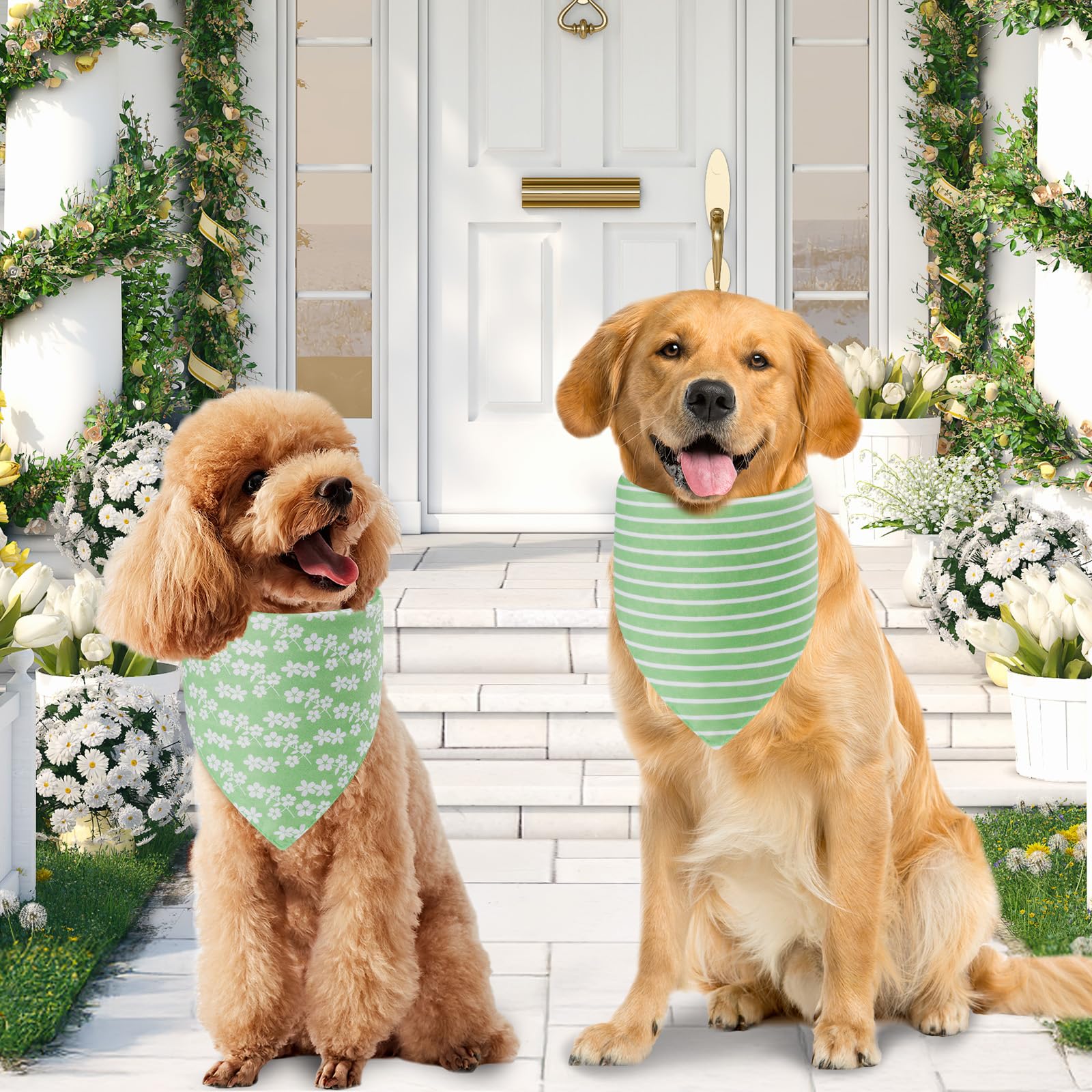 Bandana Agroon 53×76 cm, taille très grande pour les grands chiens