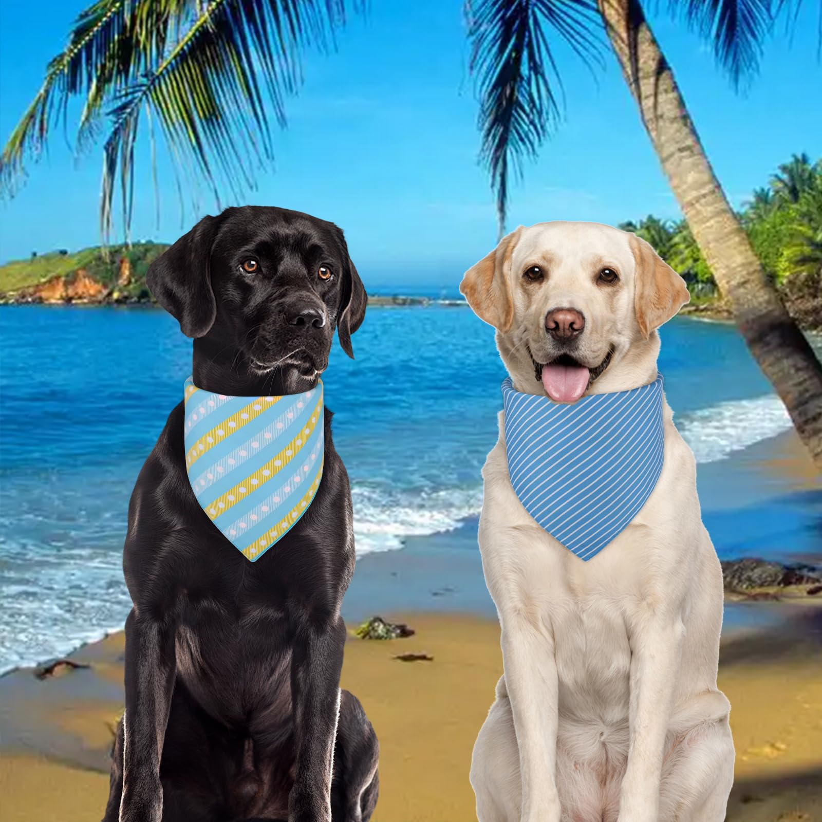 Cadeau parfait pour chien Agroon, idéal pour photos et fêtes
