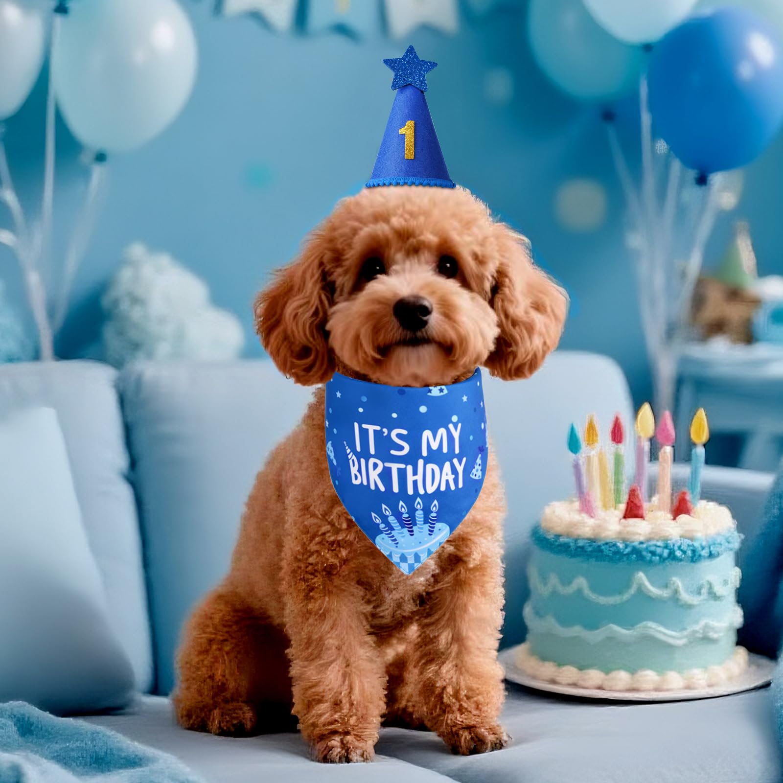 Chapeau anniversaire Agroon 3,5x5,1 pouces, fermeture velcro pratique.