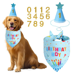 Chapeau anniversaire Agroon chiffres 0-9 pour chien, parfait pour les photos festives.