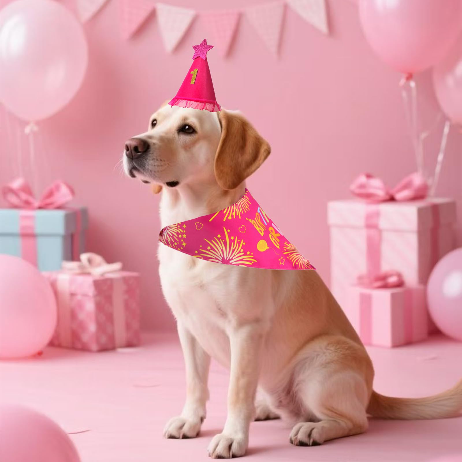 Ensemble anniversaire Agroon pour chien, parfait pour photos et fêtes.