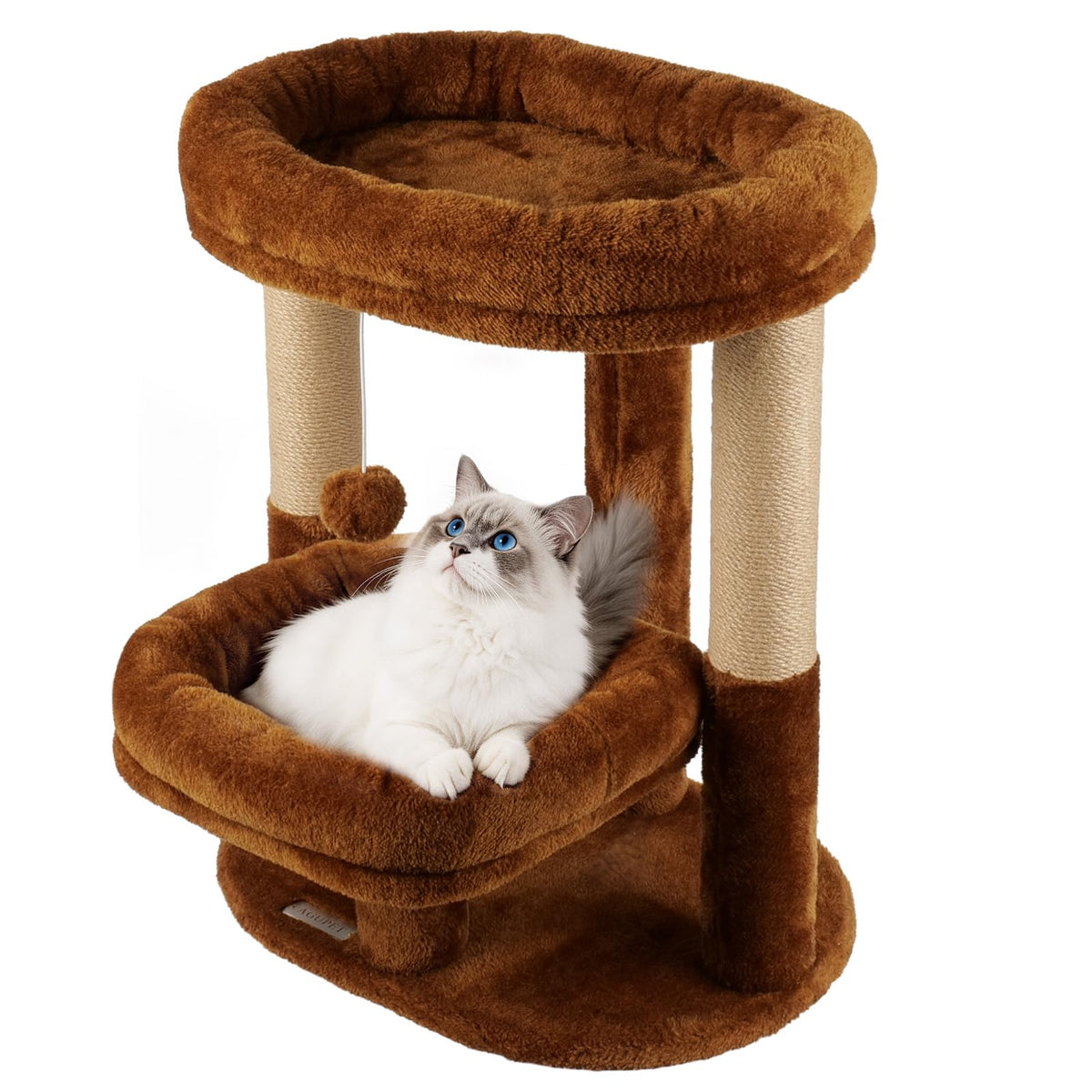 AGUPET Arbre-chat intérieur, nid donut haut, endroit cocooning pour dormir.