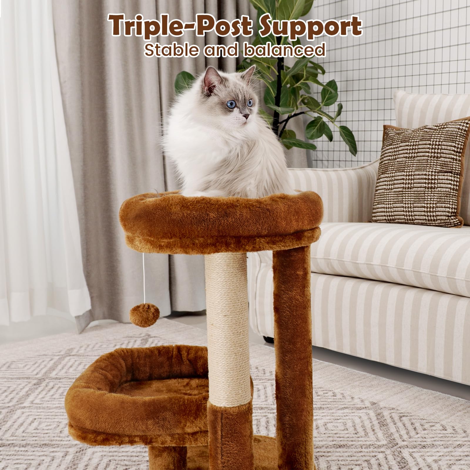 AGUPET Arbre-chat intérieur zones de repos et surveillance pour chats curieux.