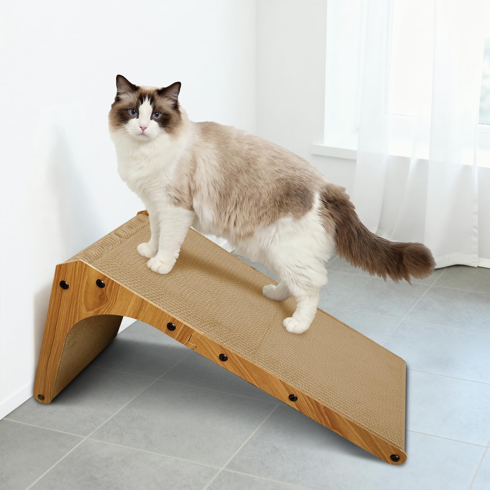AGYM confort pour chaton et chat adulte, angles variés pour gratter.