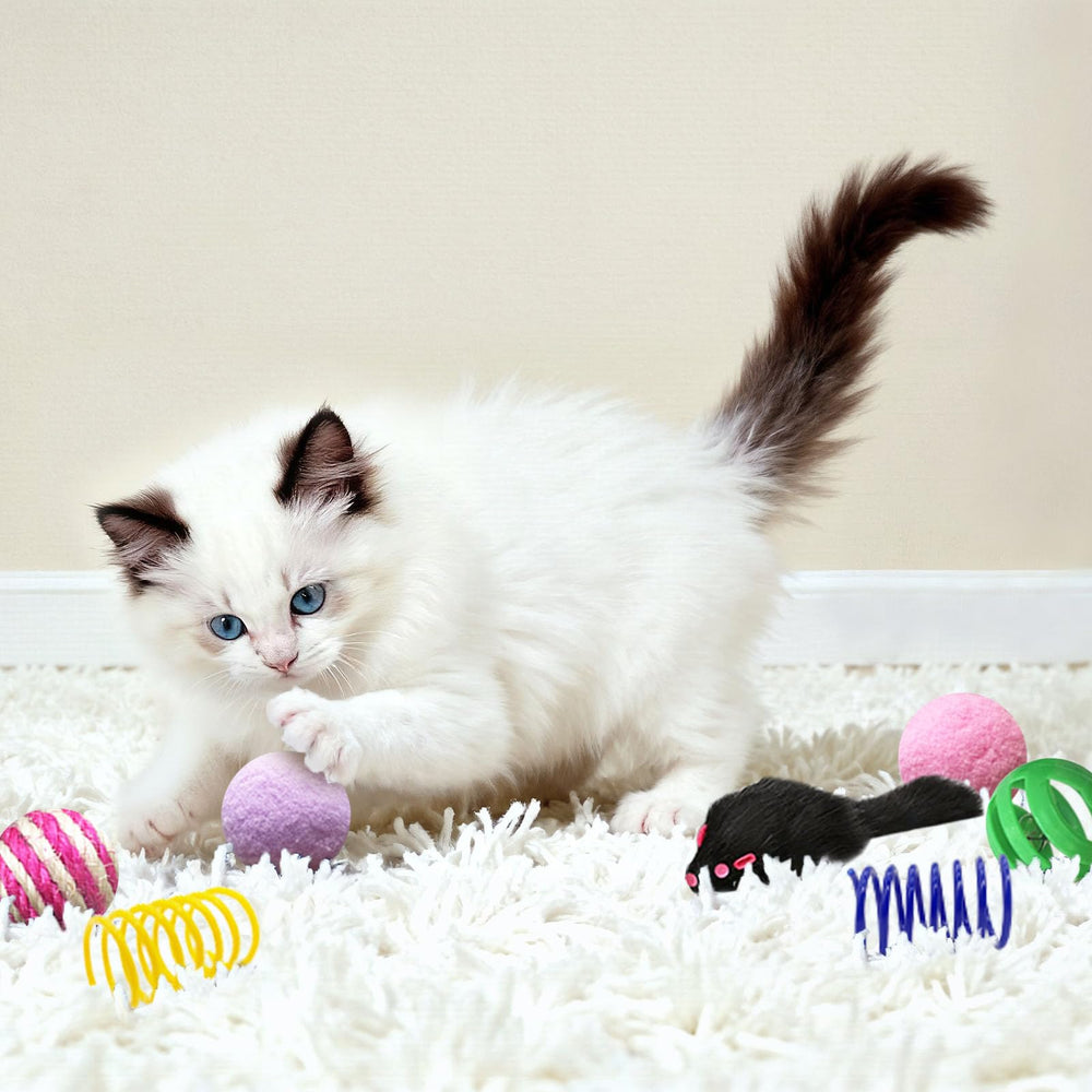 AGYM boule crinkle pour chat, bruit stimulant et divertissant.
