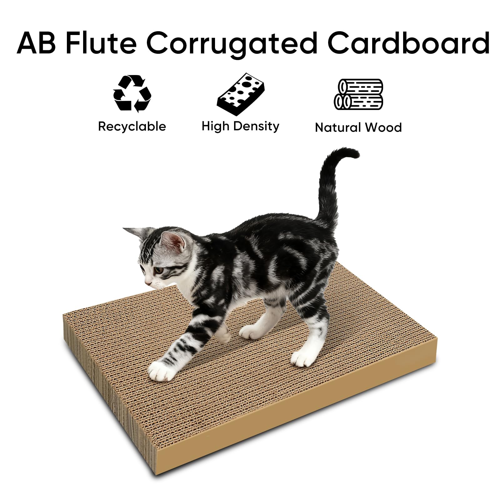 AGYM Chat Grattoir Carton – dimensions 16x9 pouces, adapté aux chats et chatons.