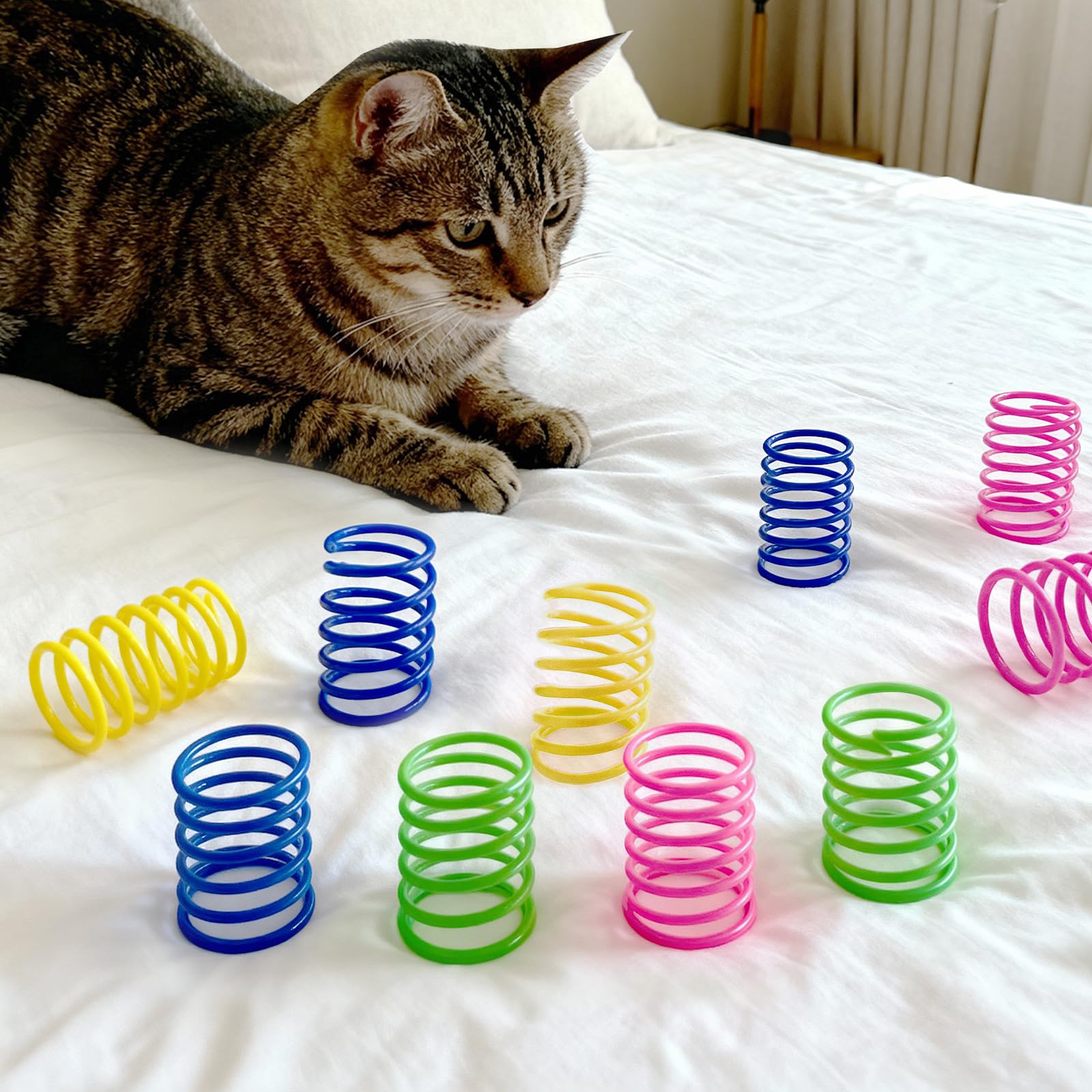 AGYM ensemble jouets pour chaton, divertissant et sûr.