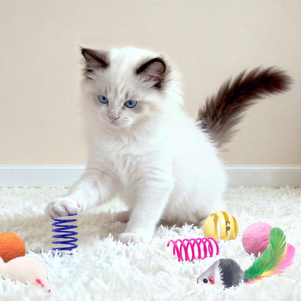 AGYM pompons pour chat, textures douces et réactives.