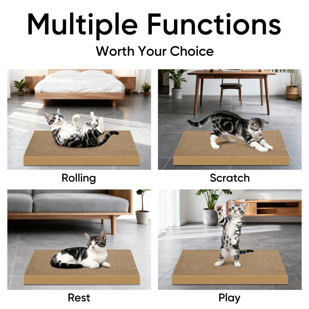 AGYM Texture carton – sensation agréable pour griffes et jeu.