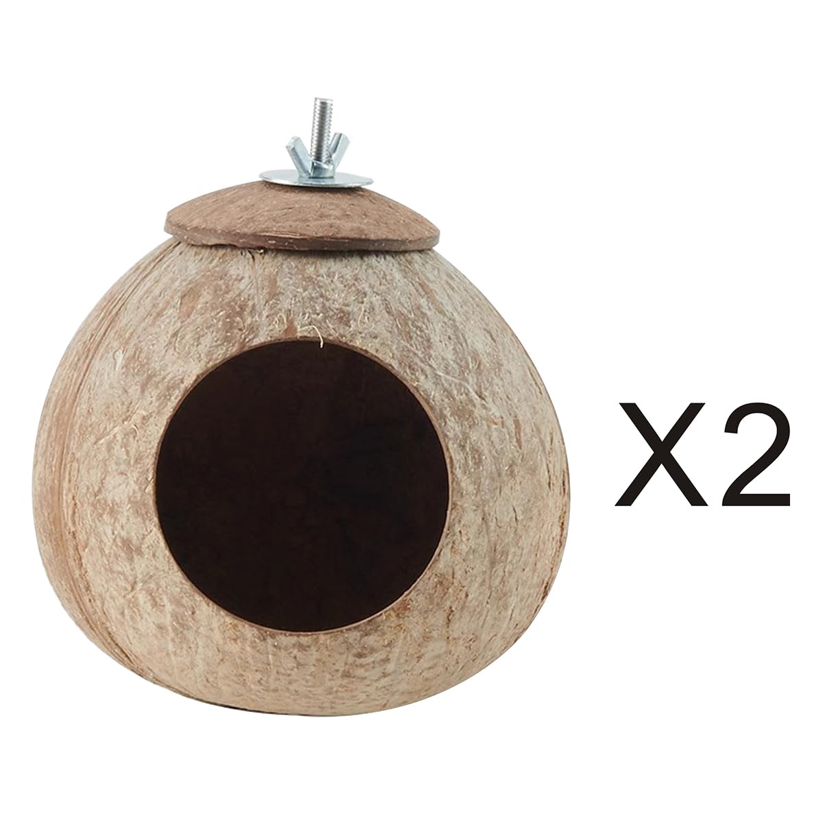 AHBLQD diamètre coquille coco environ 13 cm pour petits animaux
