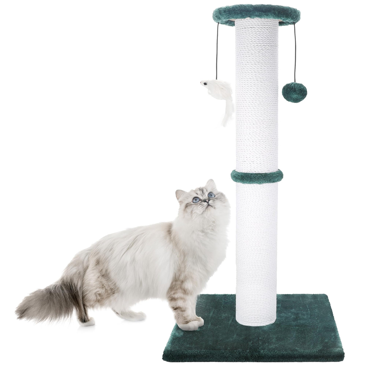 Ahomdoo poste griffage pour chat, base stable pour un soutien durable.