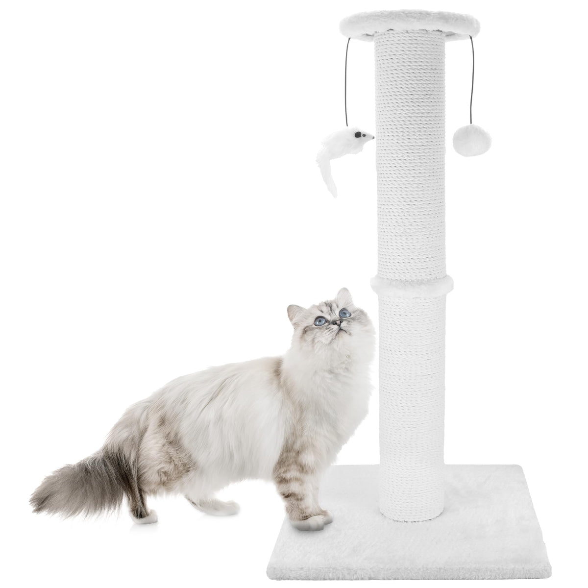 Ahomdoo Griffoir Poteau Sisal: surface durable pour griffes actives des chats d’intérieur.