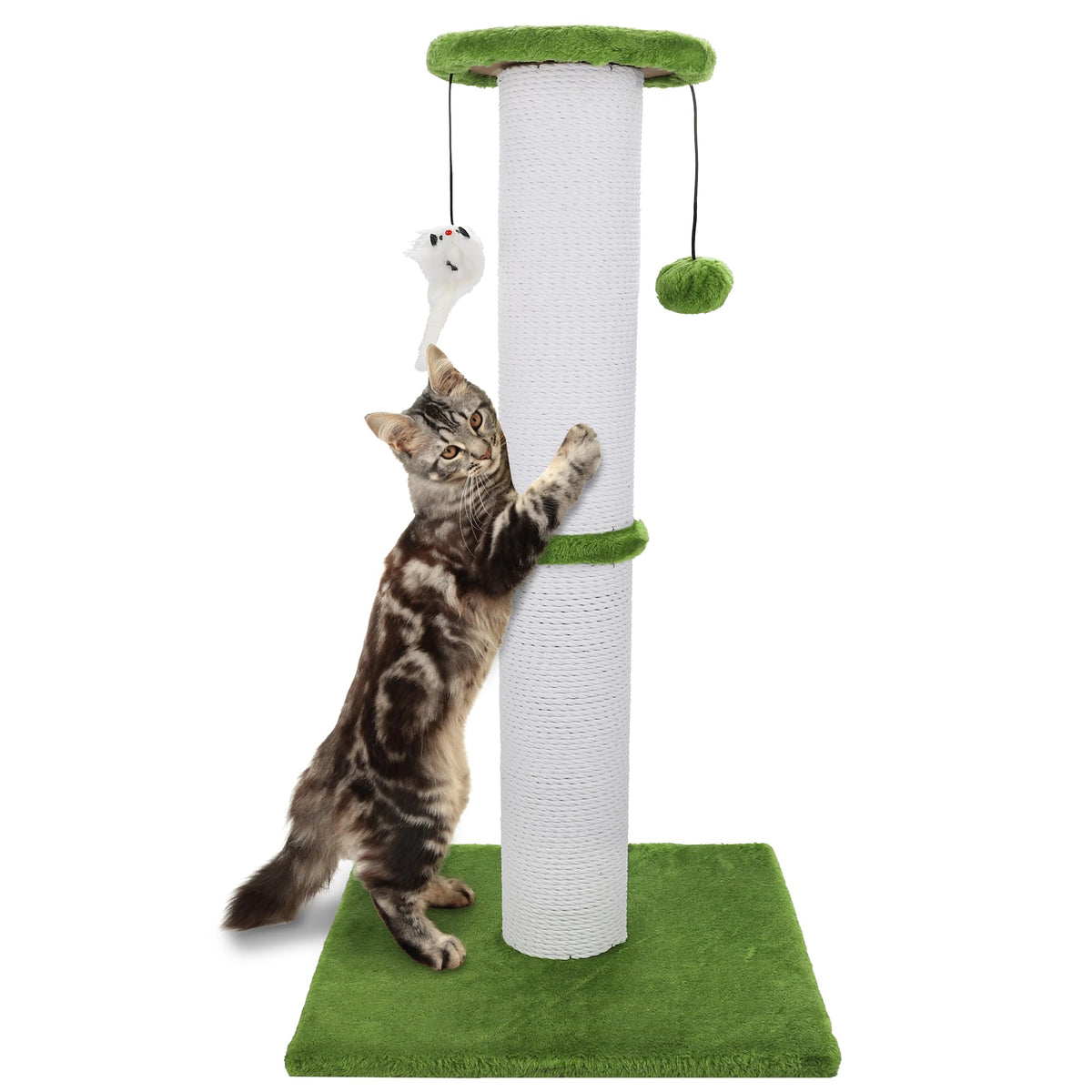 Ahomdoo poste griffage 34 pouces vert brillant pour toilettage des griffes