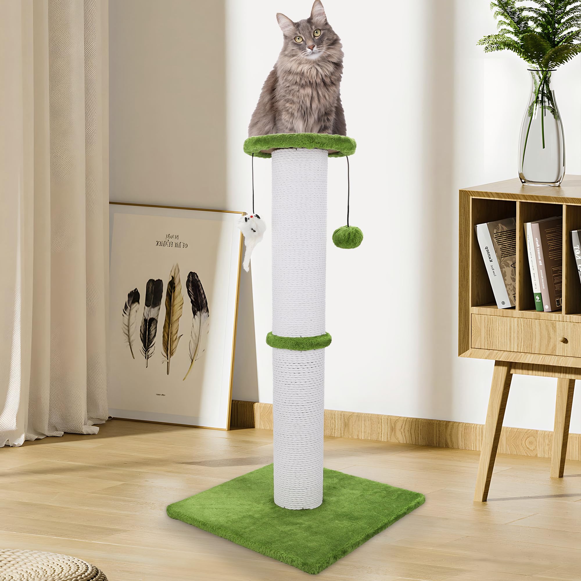 Ahomdoo usage intérieur chat vert convient aux chats adultes