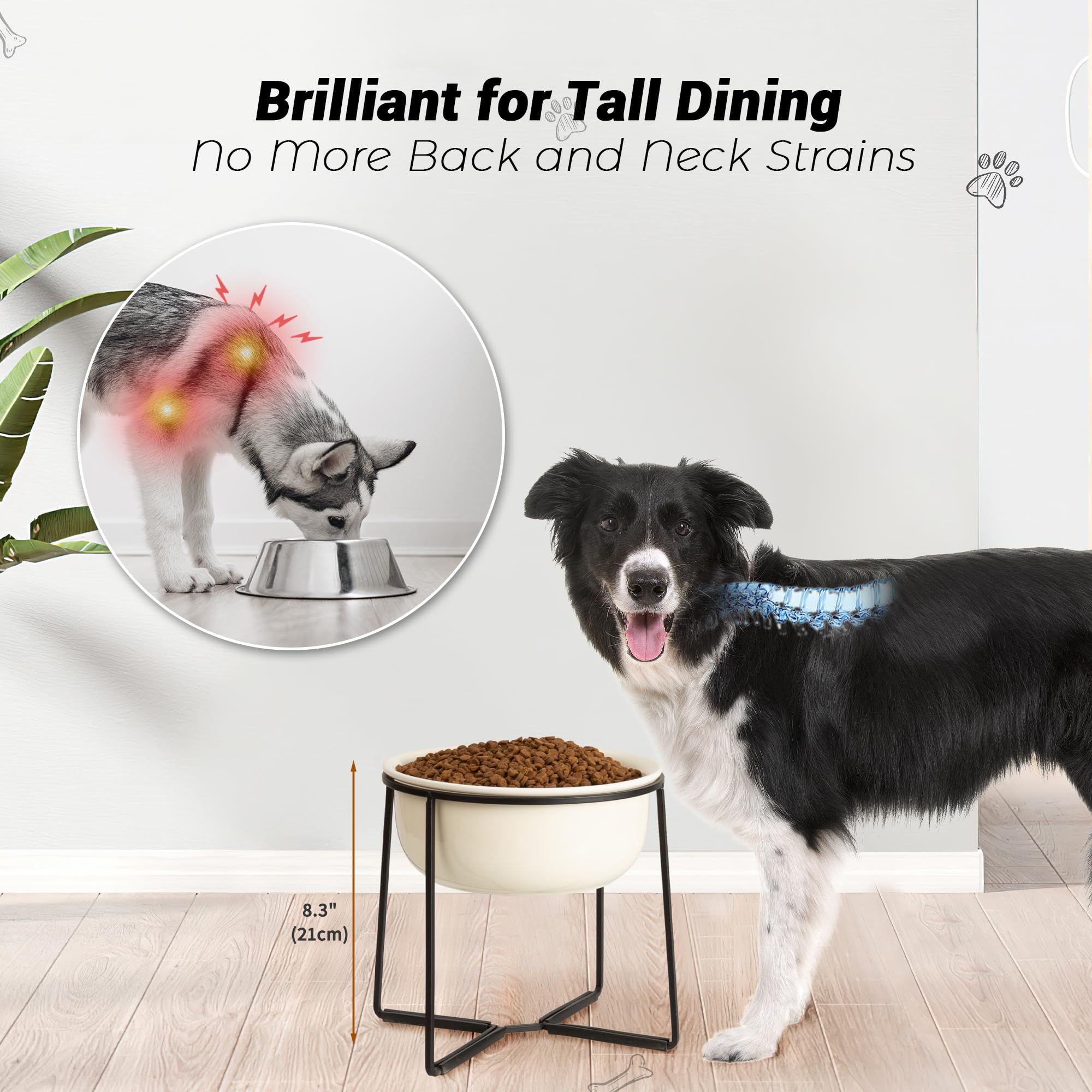 AHX trois tailles gamelle: ajustement pour chiens de moyenne et grande taille.