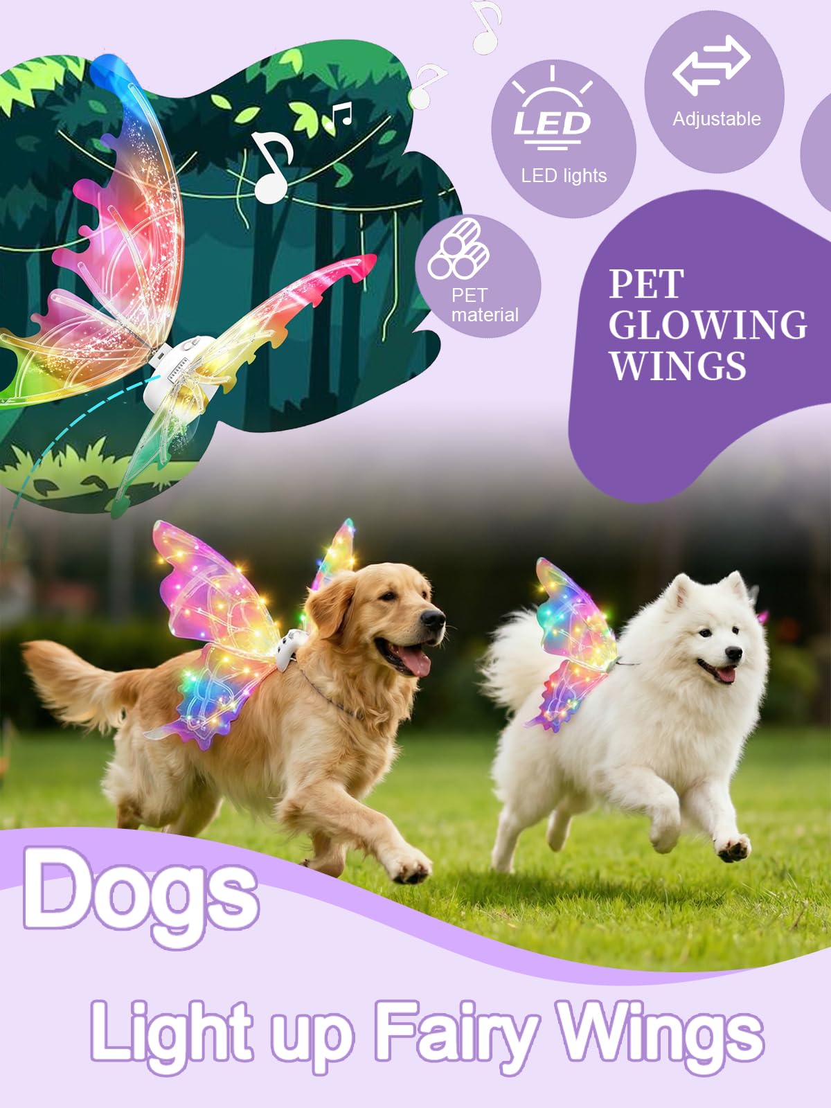 AIANR ailes-chien-noel-lumineuses parfaites pour photos festives